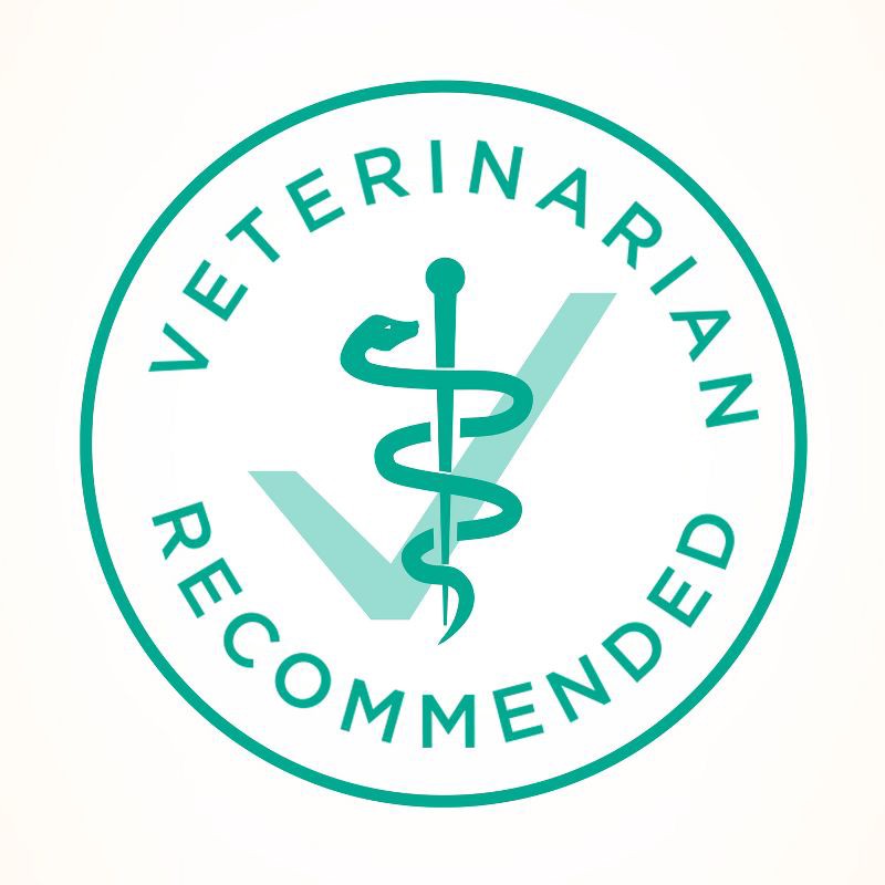 slide 5 of 7, Purina ONE Sensitive Skin & Stomach Natural Turkey Flavor Dry Cat Food - 3.5lbs, 3.5 lb