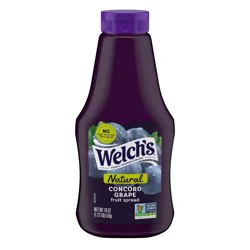 Welch's Natural Concord Grape Spread - 18oz