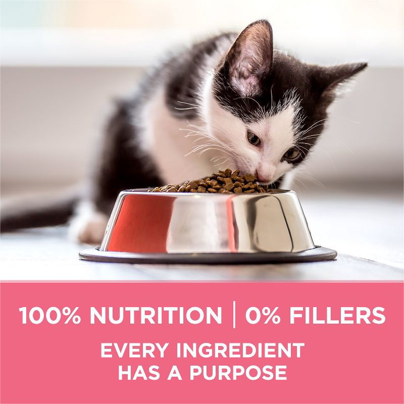 slide 4 of 8, Purina ONE Healthy Kitten Formula Natural Chicken Flavor Dry Cat Food - 3.5lbs, 3.5 lb
