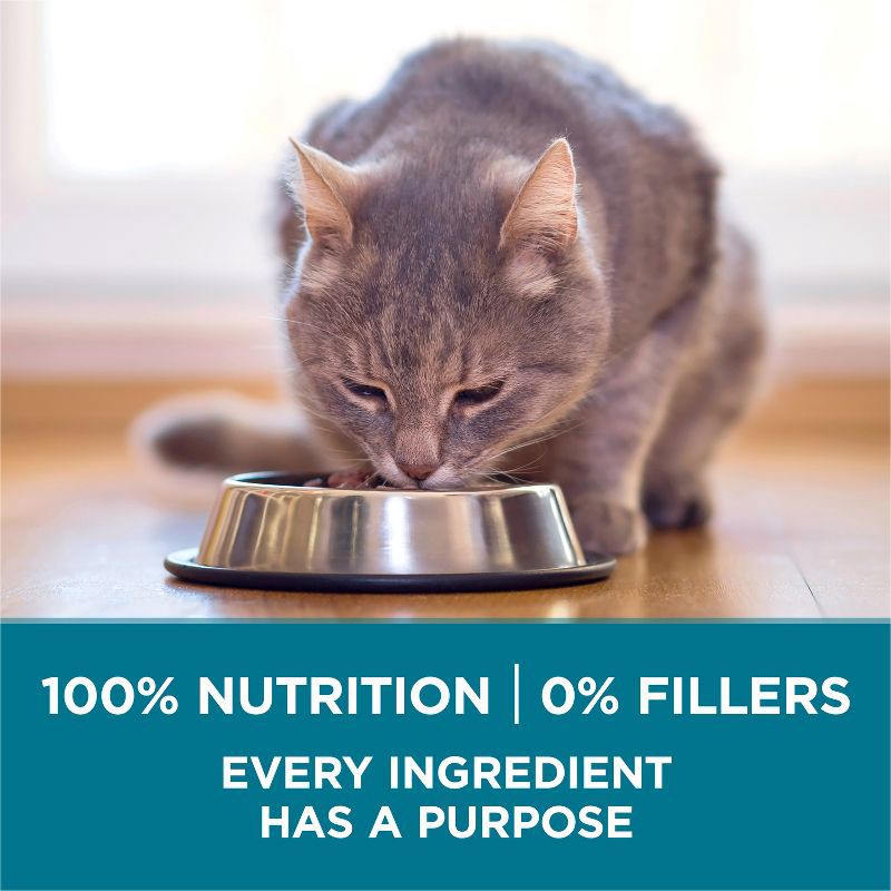 slide 5 of 8, Purina ONE Tender Selects Blend Natural Real Salmon & Fish Flavor Dry Cat Food - 7lbs, 7 lb