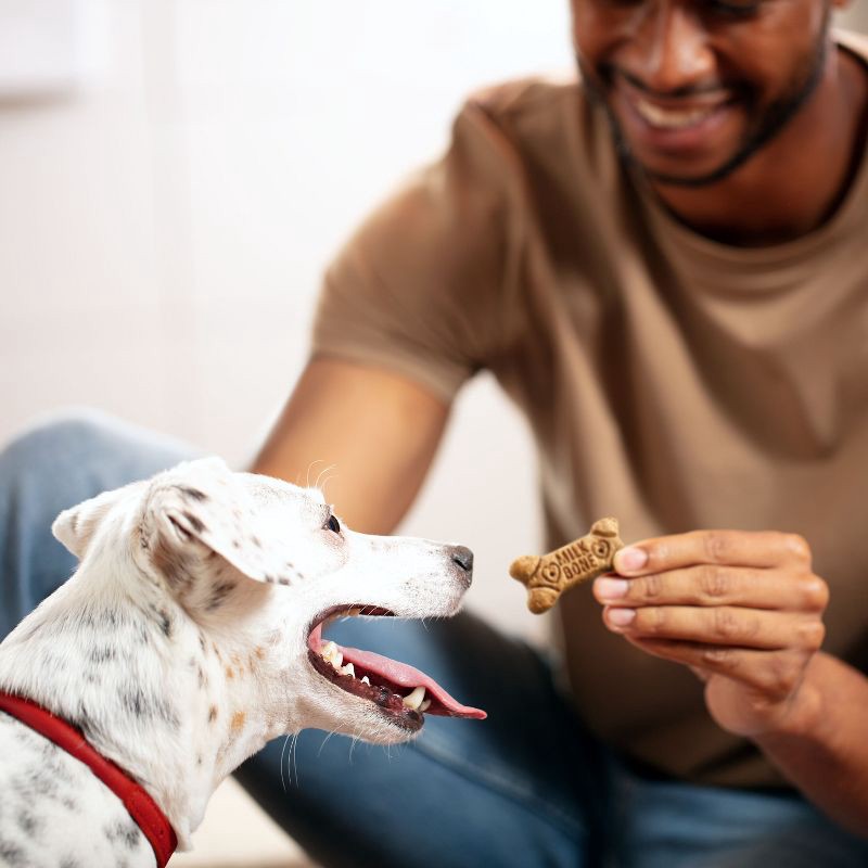 slide 4 of 9, Milk-Bone Biscuits with Beef, Turkey, Sausage, Bacon and Chicken Flavor Snacks Dog Treats -7lbs, 7 lb