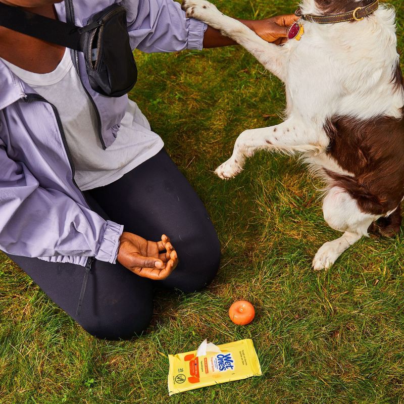 slide 3 of 7, Wet Ones Antibacterial Hand Wipes Travel Pack - Tropical Splash - 20ct, 20 ct