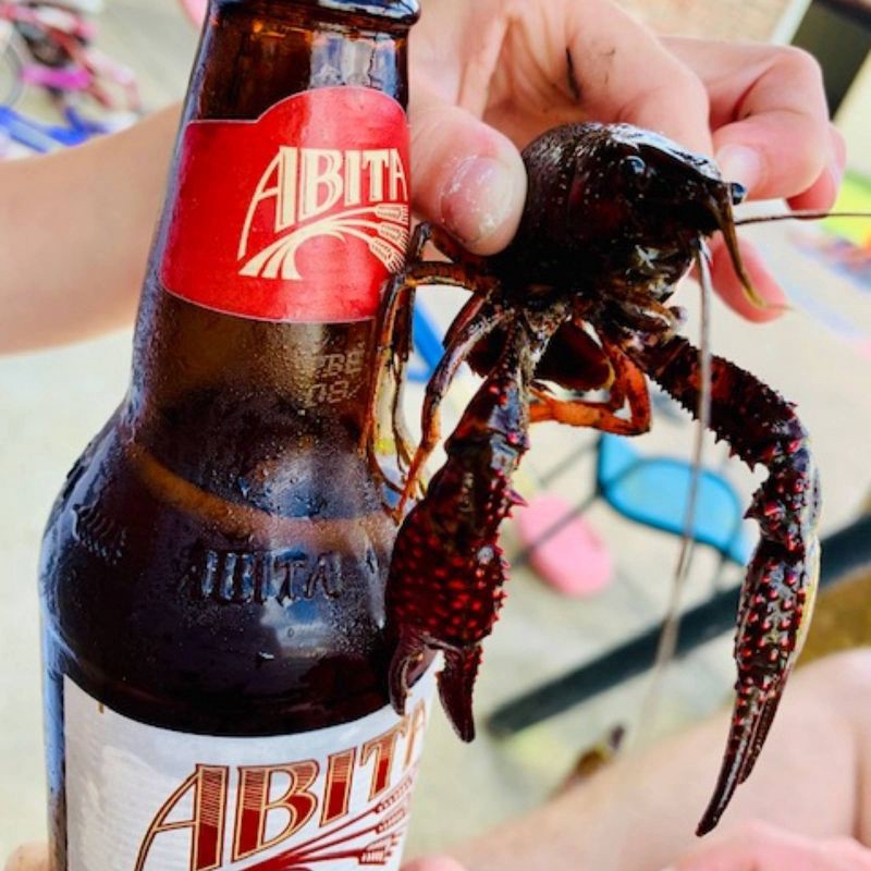 slide 8 of 11, Abita Amber Lager Beer - 6pk/12 fl oz Bottles, 6 ct; 12 fl oz