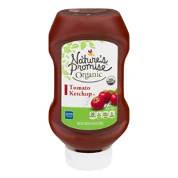 Nature's Promise Organic Tomato Ketchup