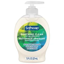 Softsoap Moisturizing Liquid Hand Soap Pump - Soothing Aloe Vera - 7.5 fl oz