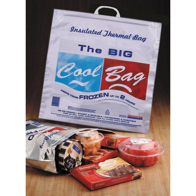 slide 2 of 3, American Bag Reusable Thermal Bag - 20"x20", 1 ct