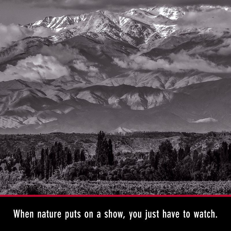 slide 6 of 6, The Show Malbec Red Wine - 750ml Bottle, 750 ml