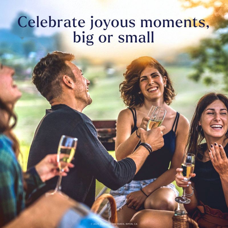 slide 3 of 9, Cupcake Vineyards Cupcake Prosecco Wine - 750ml Bottle, 750 ml