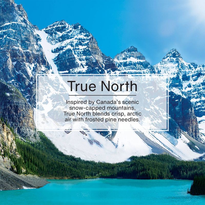 slide 2 of 5, Little Trees True North Air Freshener 3pk, 3 ct