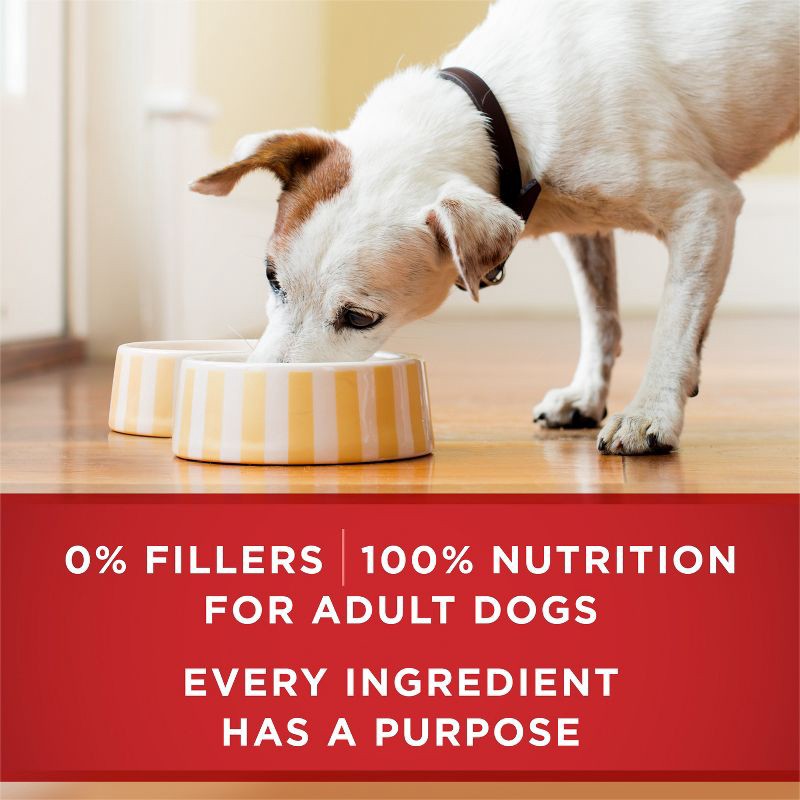 slide 4 of 7, Purina ONE SmartBlend Classic Ground Wet Dog Food Beef & Brown Rice Entrée - 13oz, 13 oz