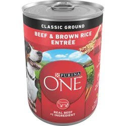 Purina ONE SmartBlend Classic Ground Wet Dog Food Beef & Brown Rice Entrée - 13oz