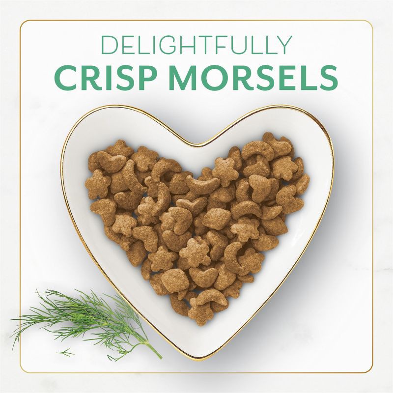 slide 3 of 13, Purina Fancy Feast with Ocean Fish, Salmon & Garden Greens Adult Gourmet Dry Cat Food - 48oz, 48 oz