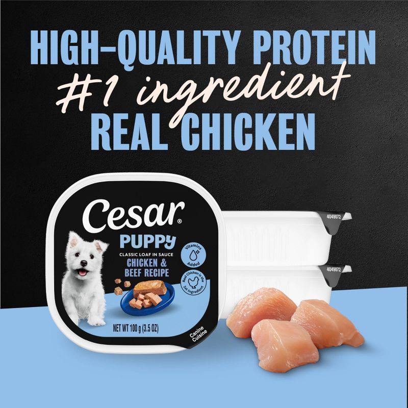 slide 2 of 14, Cesar Classic Loaf in Sauce Chicken, Gravy and Beef Flavor Small Breed Puppy Wet Dog Food - 3.5oz, 3.5 oz
