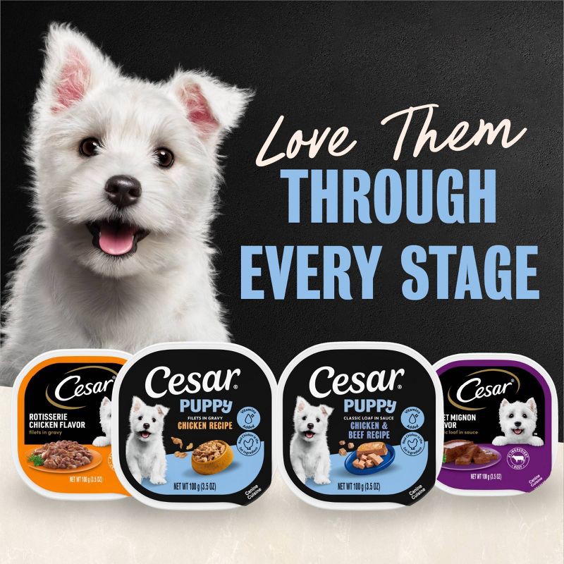 slide 7 of 14, Cesar Classic Loaf in Sauce Chicken, Gravy and Beef Flavor Small Breed Puppy Wet Dog Food - 3.5oz, 3.5 oz