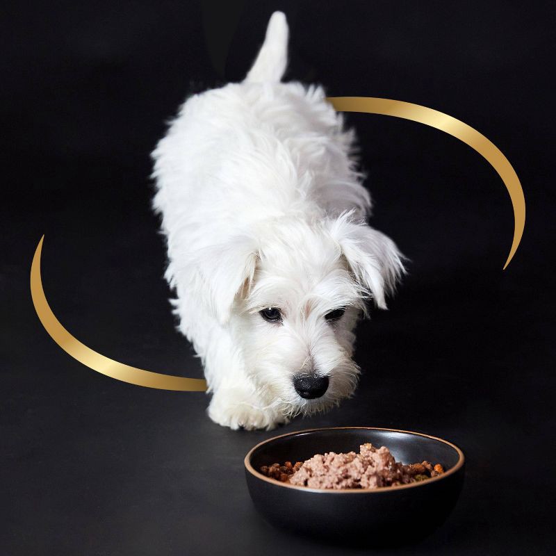 slide 13 of 14, Cesar Classic Loaf in Sauce Chicken, Gravy and Beef Flavor Small Breed Puppy Wet Dog Food - 3.5oz, 3.5 oz