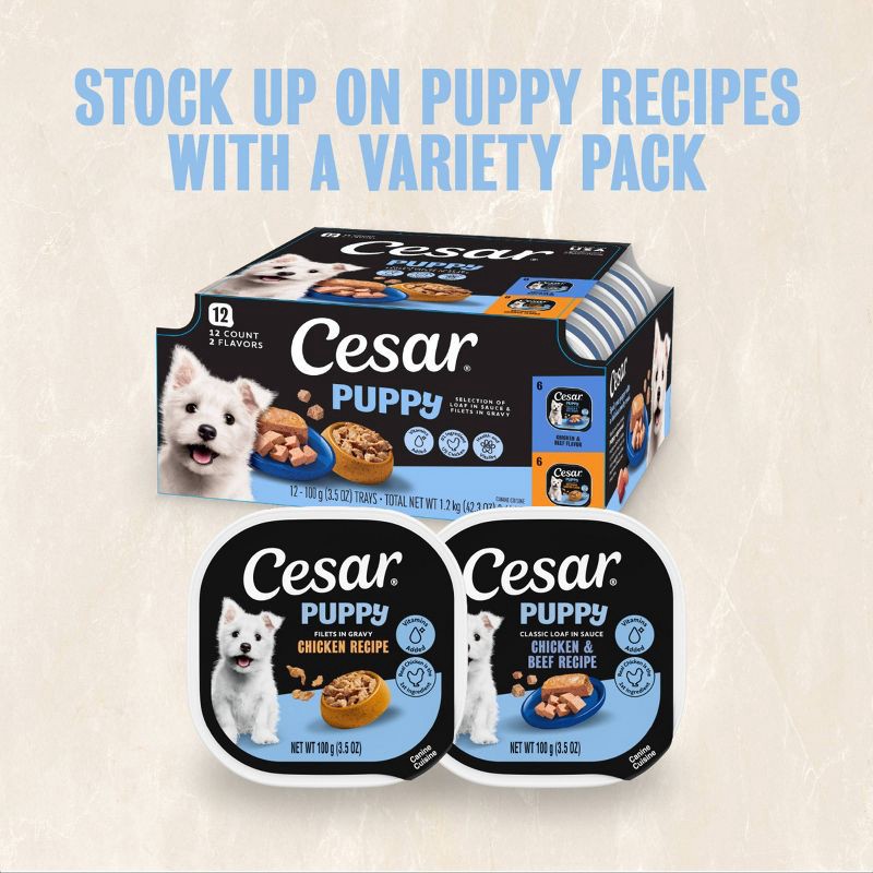 slide 11 of 14, Cesar Classic Loaf in Sauce Chicken, Gravy and Beef Flavor Small Breed Puppy Wet Dog Food - 3.5oz, 3.5 oz