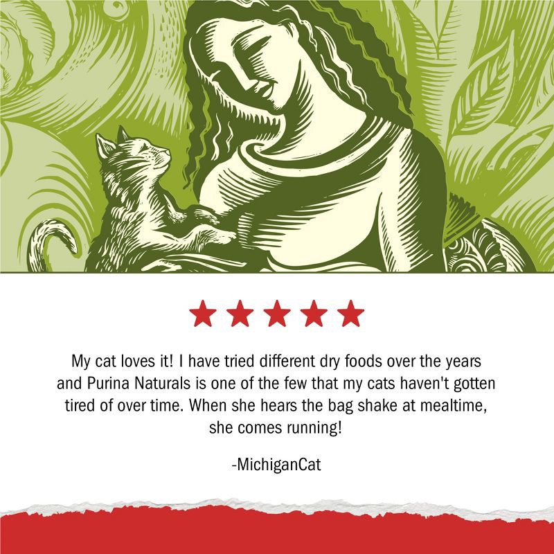 slide 11 of 13, Purina Cat Chow Naturals Original Chicken Flavor Dry Cat Food - 3.15lbs, 3.15 lb