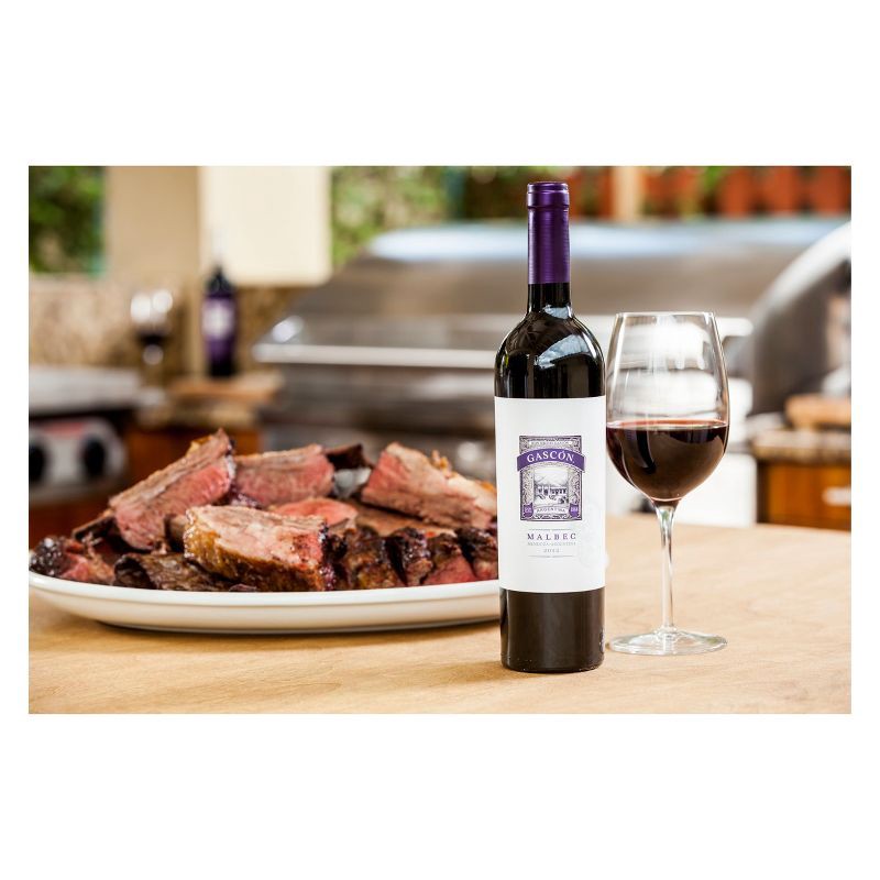 slide 2 of 4, Don Miguel Gascon Argentina Malbec Red Wine - 750ml Bottle, 750 ml