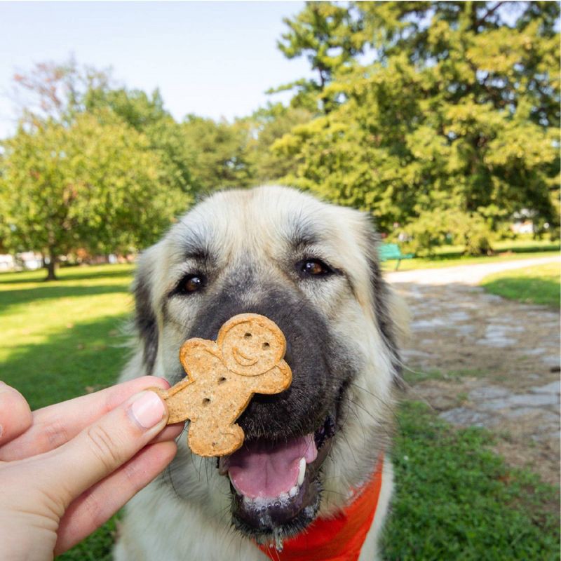 slide 6 of 10, Buddy Biscuits Oven Baked Crunchy Peanut Butter Dog Treats - 1lb, 1 lb