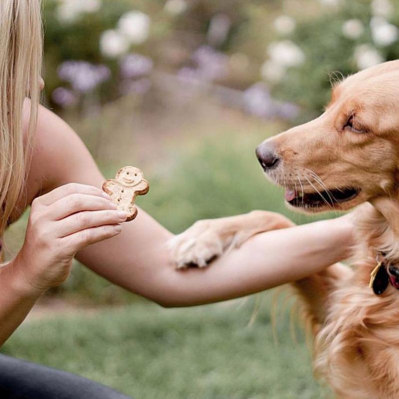 slide 10 of 10, Buddy Biscuits Oven Baked Crunchy Peanut Butter Dog Treats - 1lb, 1 lb