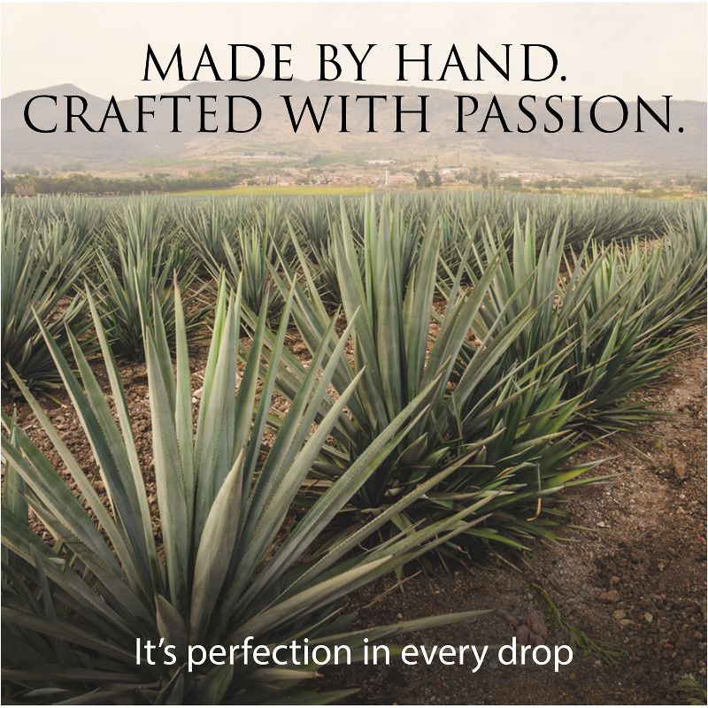 slide 5 of 10, Patron Patrón Silver Tequila - 750ml Bottle, 750 ml