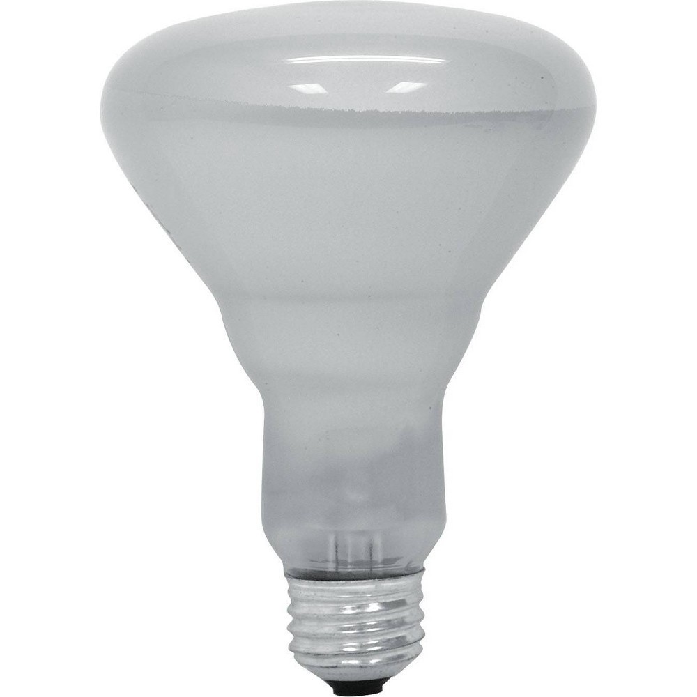 R30 incandescent online bulb