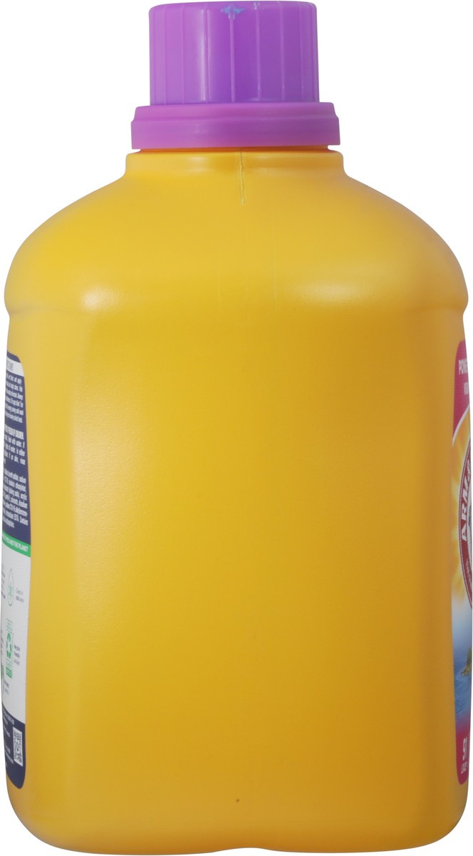 slide 9 of 9, ARM & HAMMER Tropical Paradise Detergent 144.5 fl oz, 150 oz