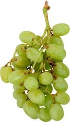 Fresh Organic Seedless Green Grapes
