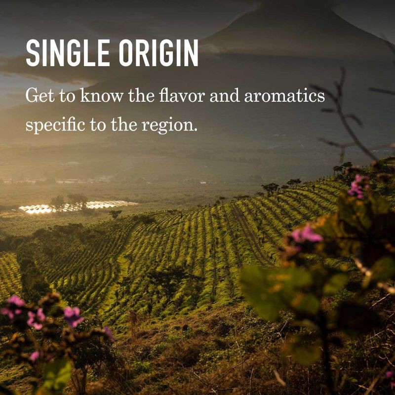 slide 7 of 11, Peet's Coffee Peet's Brazil Single Origin Medium Roast Ground Coffee 10.5oz, 10.5 oz