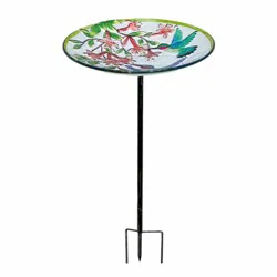 HD Designs Outdoors Hummingbird Birdbath Stake - 10 in