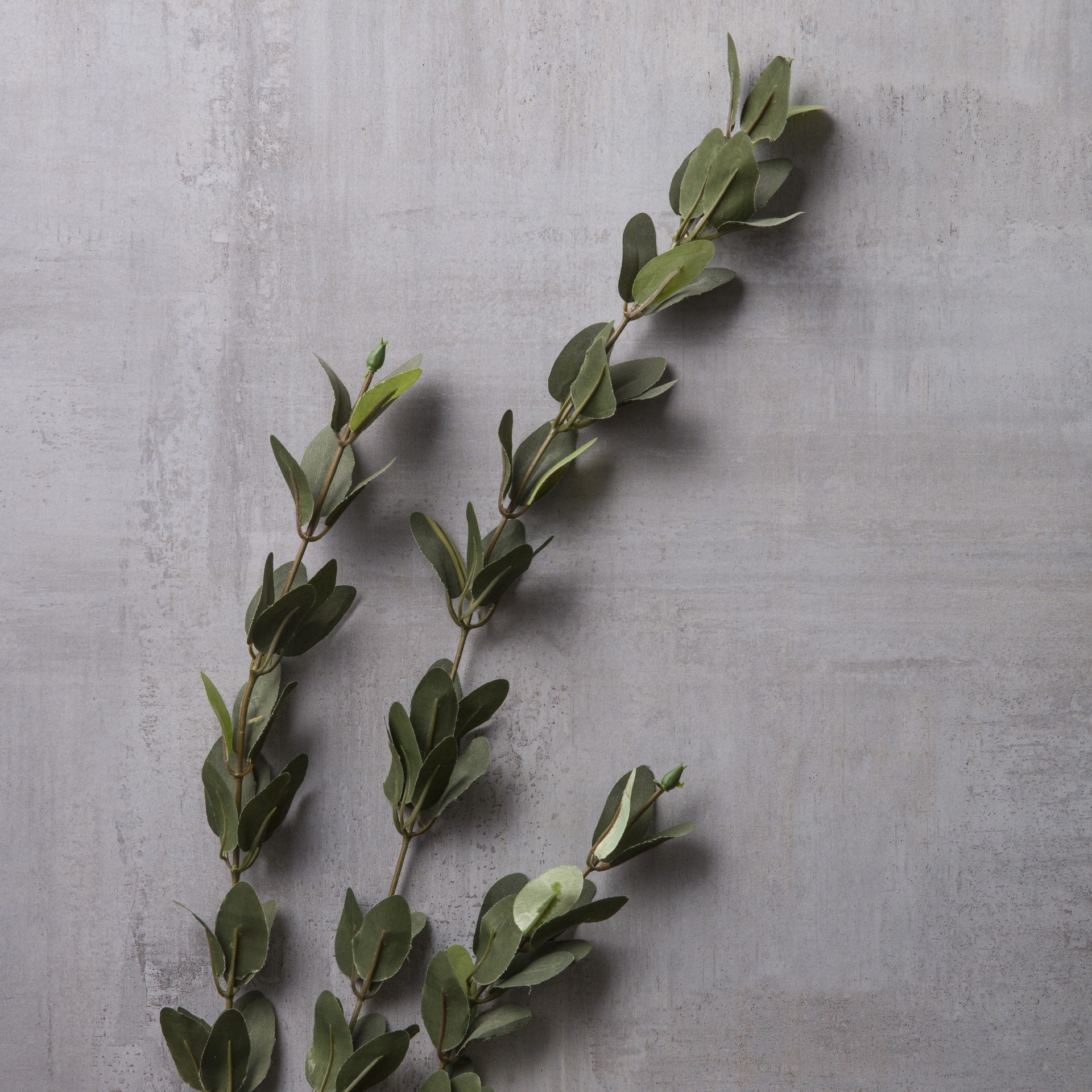 slide 4 of 4, Huckleberry Leaf Spray By Ashland, 36.5 in