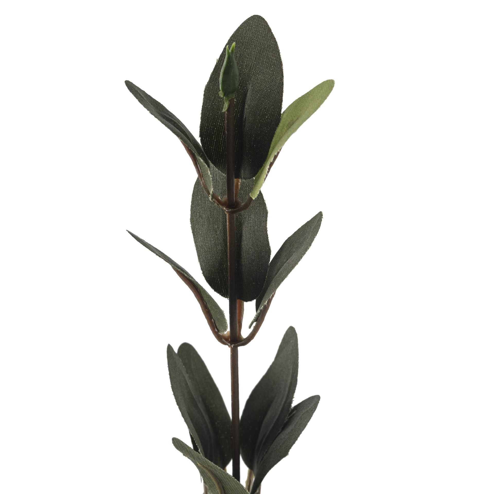 slide 3 of 4, Huckleberry Leaf Spray By Ashland, 36.5 in