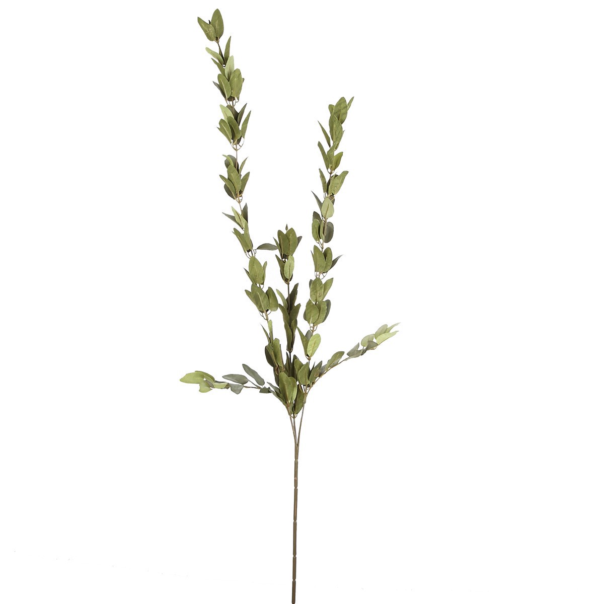 slide 2 of 4, Huckleberry Leaf Spray By Ashland, 36.5 in