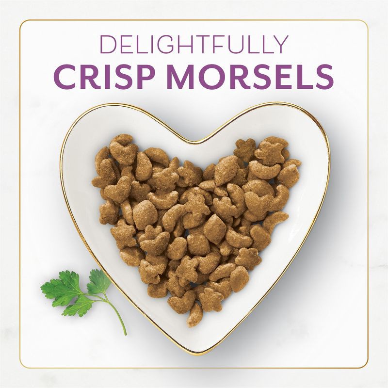 slide 3 of 13, Purina Fancy Feast with Chicken & Turkey Adult Gourmet Dry Cat Food - 48oz, 48 oz