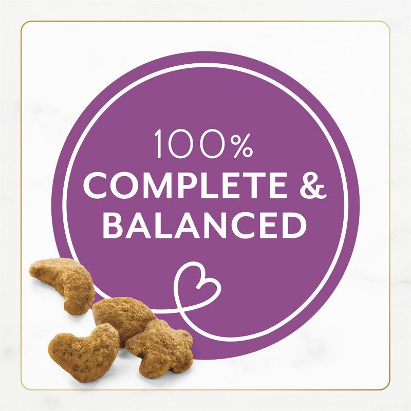 slide 4 of 13, Purina Fancy Feast with Chicken & Turkey Adult Gourmet Dry Cat Food - 48oz, 48 oz