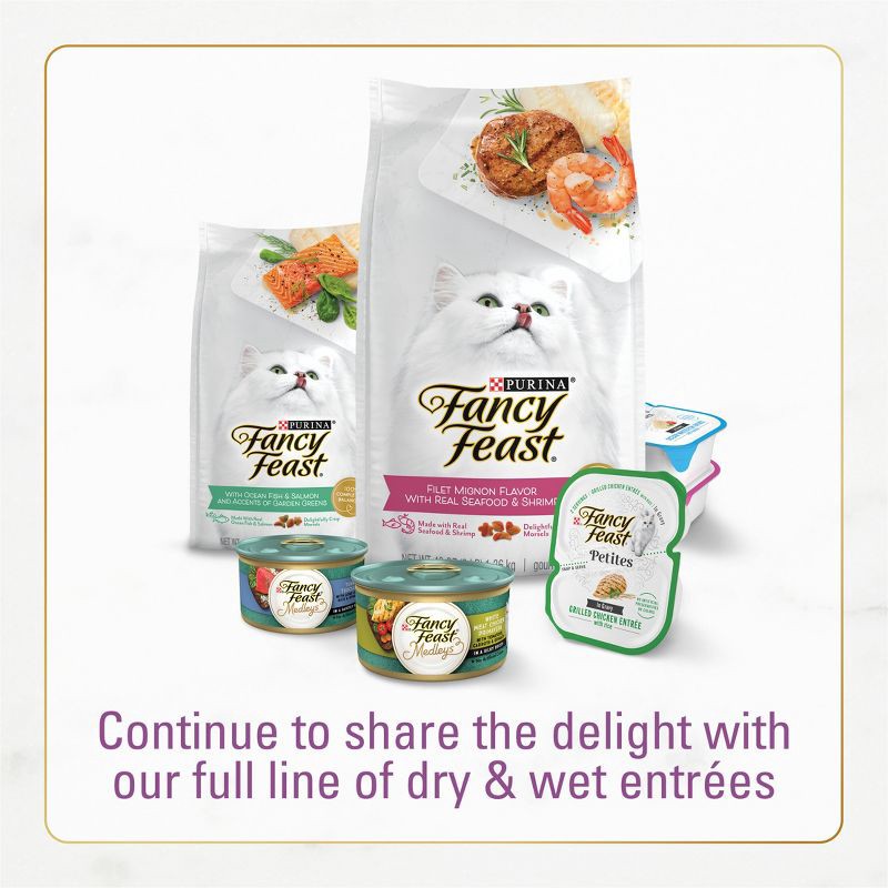 slide 7 of 13, Purina Fancy Feast with Chicken & Turkey Adult Gourmet Dry Cat Food - 48oz, 48 oz