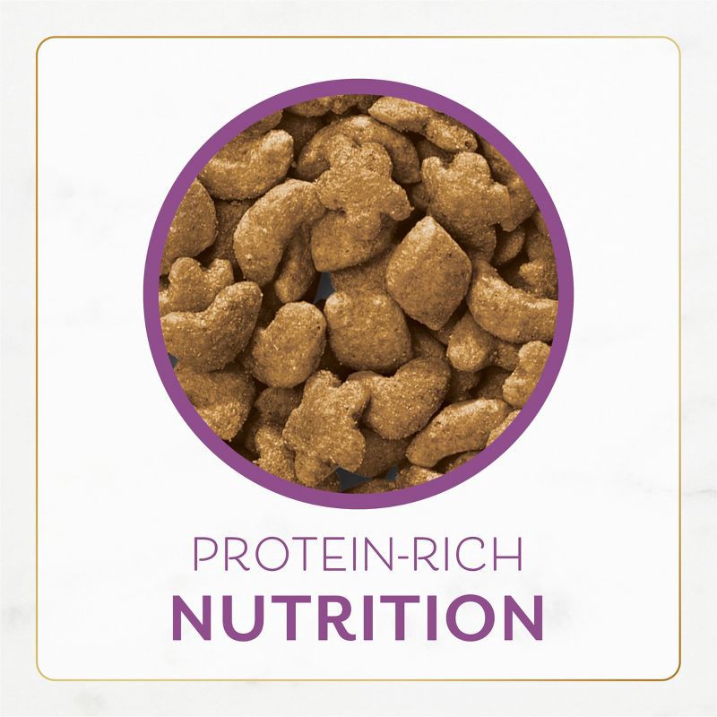 slide 9 of 13, Purina Fancy Feast with Chicken & Turkey Adult Gourmet Dry Cat Food - 48oz, 48 oz