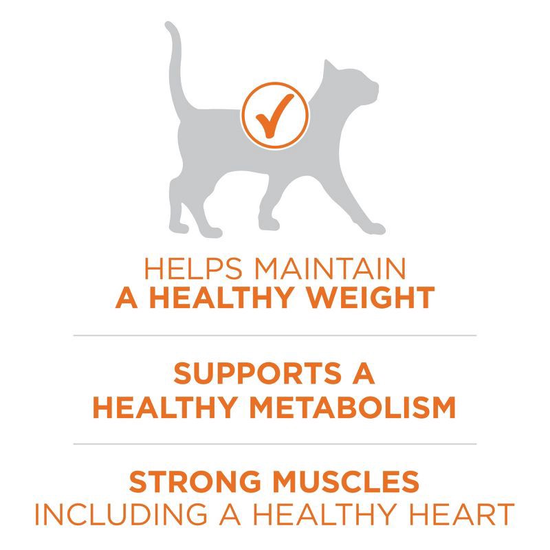 slide 6 of 10, Purina ONE Ideal Healthy Weight High Protein Natural Chicken Flavor Dry Cat Food - 7lbs, 7 lb