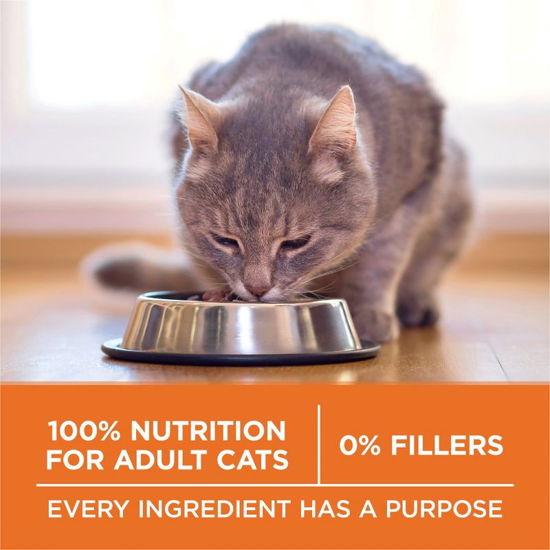 slide 8 of 10, Purina ONE Ideal Healthy Weight High Protein Natural Chicken Flavor Dry Cat Food - 7lbs, 7 lb