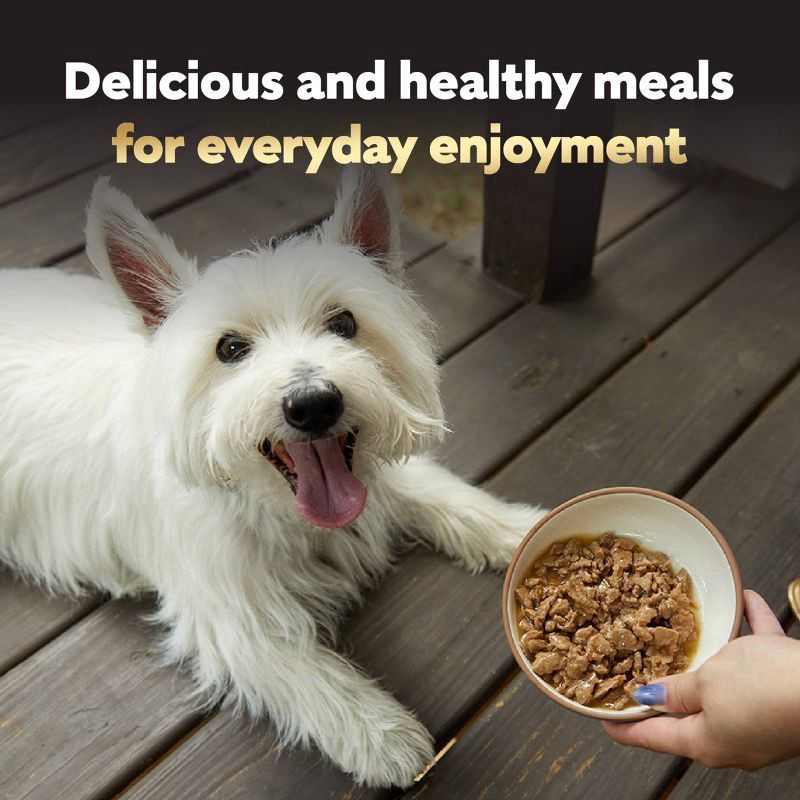 slide 9 of 14, Cesar Filets in Gravy Read Meat Beef Gravy and Steak Flavor Variety Pack Small Breed Wet Dog Food - 3.5oz/12ct, 12 ct; 3.5 oz