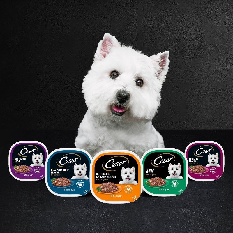 slide 14 of 14, Cesar Filets in Gravy Read Meat Beef Gravy and Steak Flavor Variety Pack Small Breed Wet Dog Food - 3.5oz/12ct, 12 ct; 3.5 oz