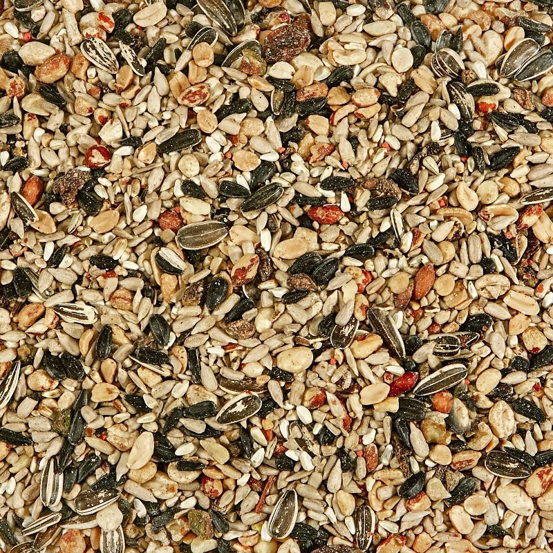 slide 4 of 4, Kaytee Nut & Fruit Blend Dry Bird Food - 10lbs, 10 lb