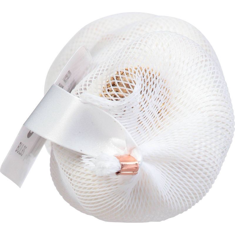 slide 2 of 3, Spice World Garlic - each, 1 ct