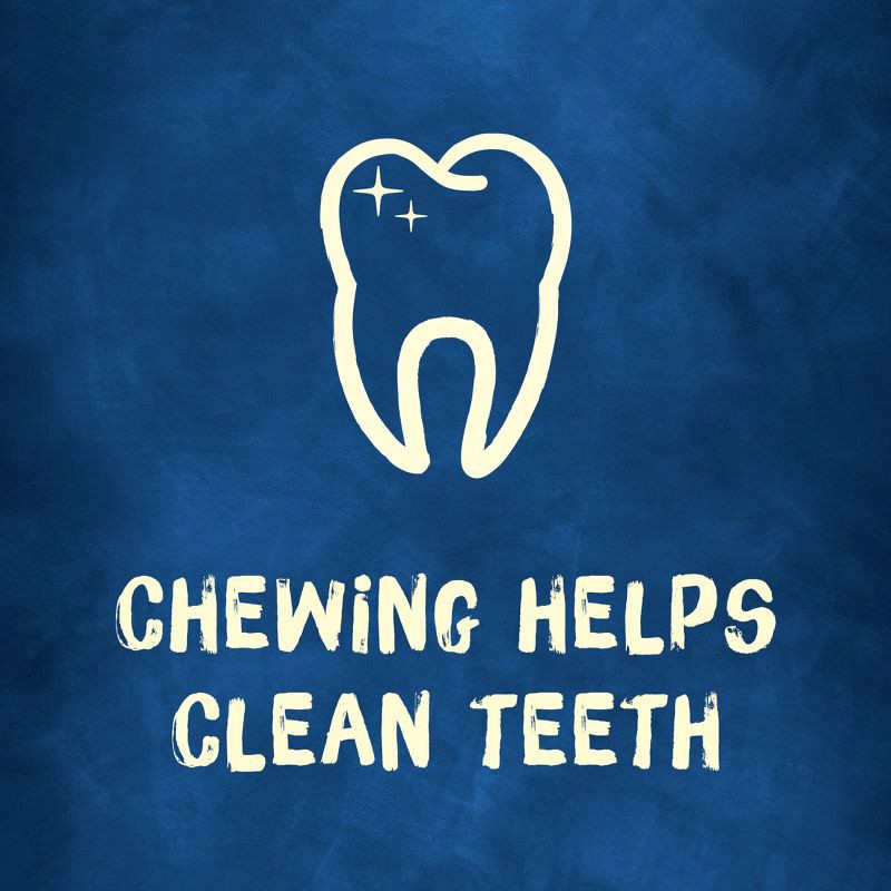 slide 11 of 11, Purina Busy Bone Chewy Pork Flavor Dog Treats - 21oz/6ct, 21 oz, 6 ct