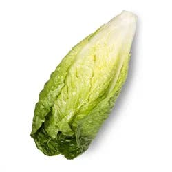 Fresh Romaine Lettuce Head - each