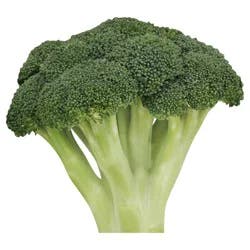 Fresh Broccoli Bunch - each