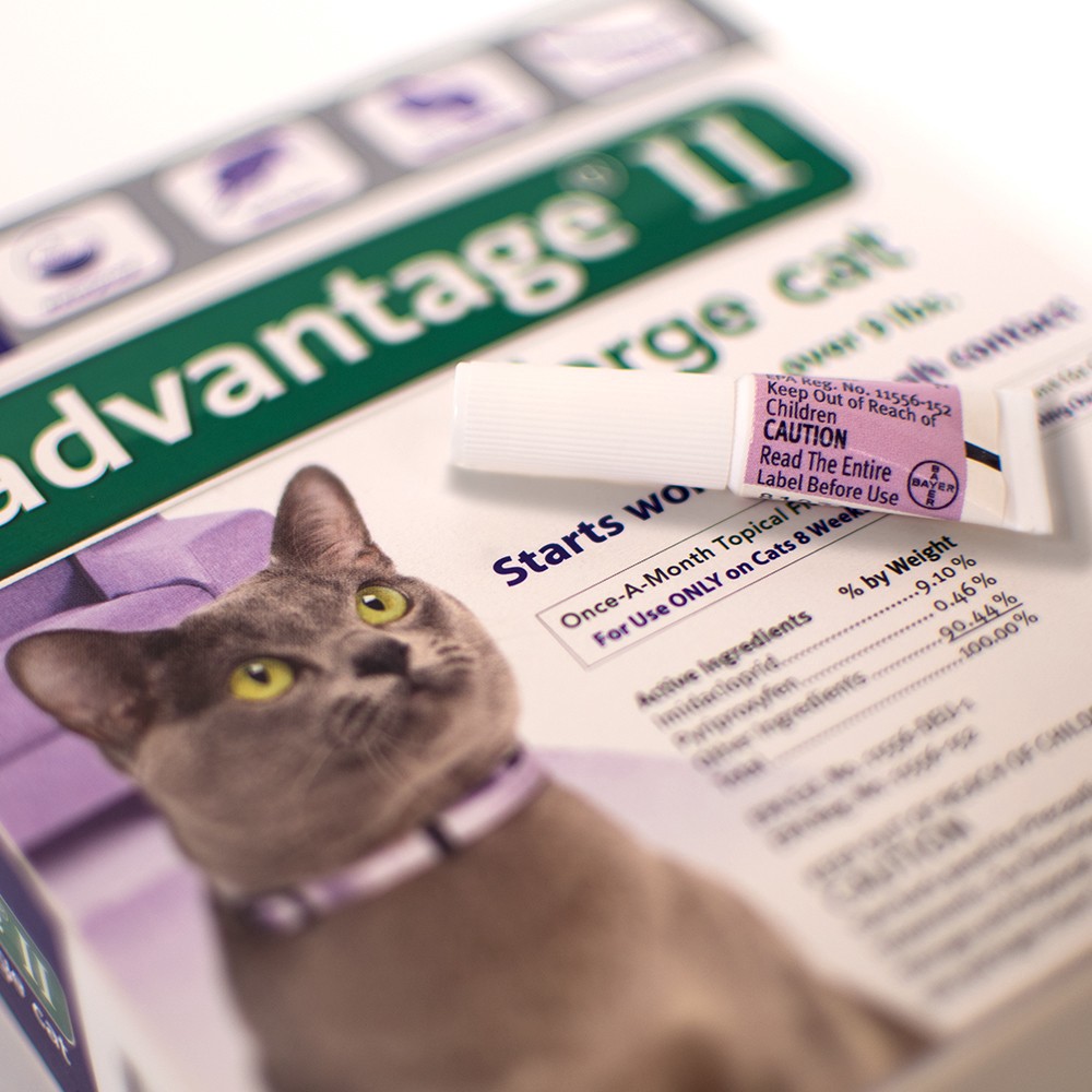 slide 3 of 3, Bayer Advantage II Topical Flea Prevention and Treatment - Large Cats - 4pk, 4 ct