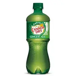 Canada Dry Ginger Ale Soda - 20 fl oz Bottle