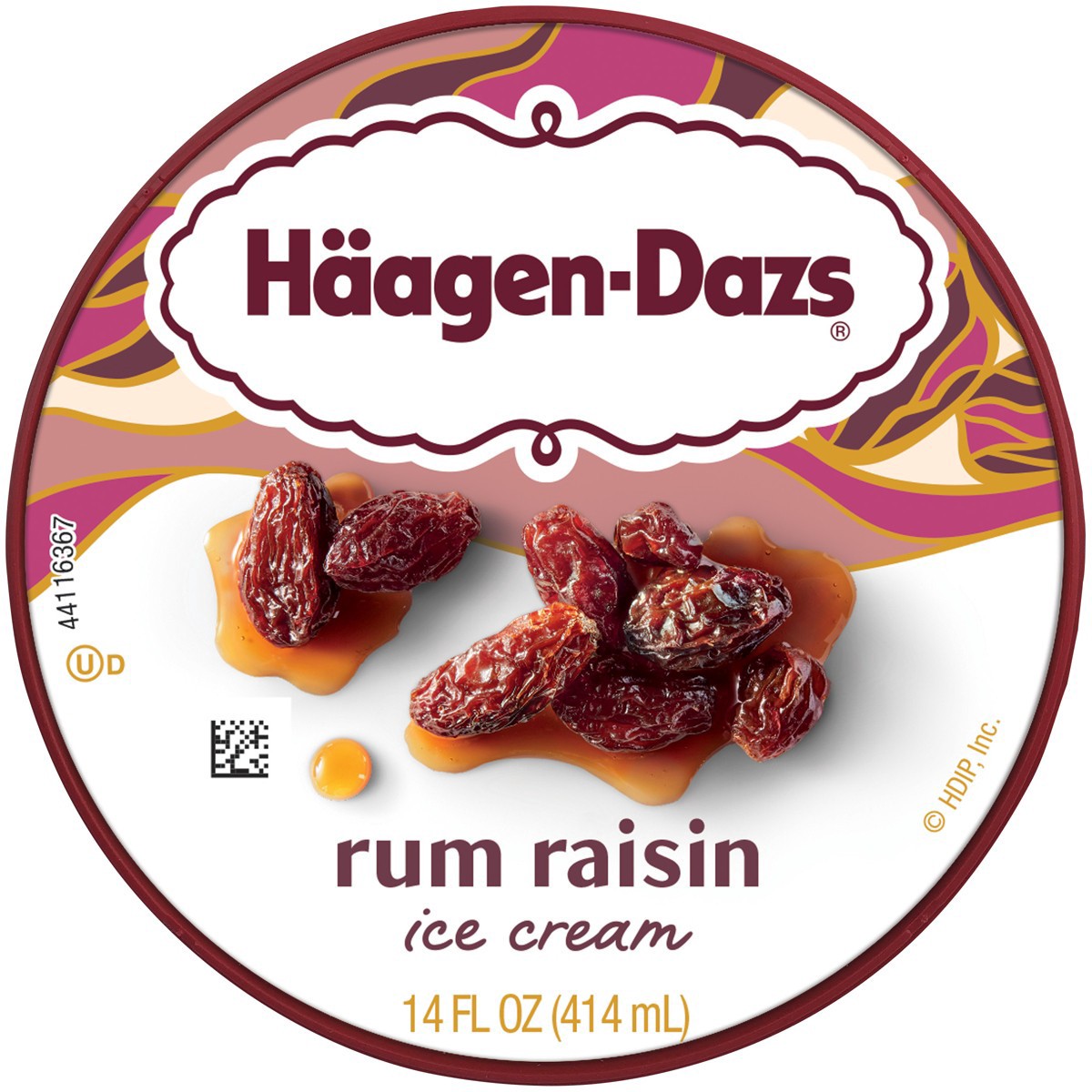 slide 10 of 11, Häagen-Dazs Rum Raisin Ice Cream, 14 fl oz