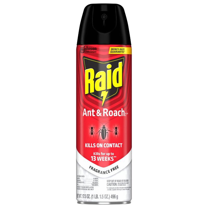 slide 4 of 14, Raid Ant and Roach Killer Indoor Bug Spray - Fragrance Free - 17.5oz, 17.5 oz